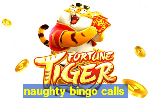 naughty bingo calls