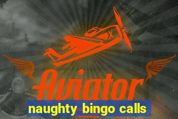 naughty bingo calls