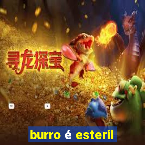 burro é esteril