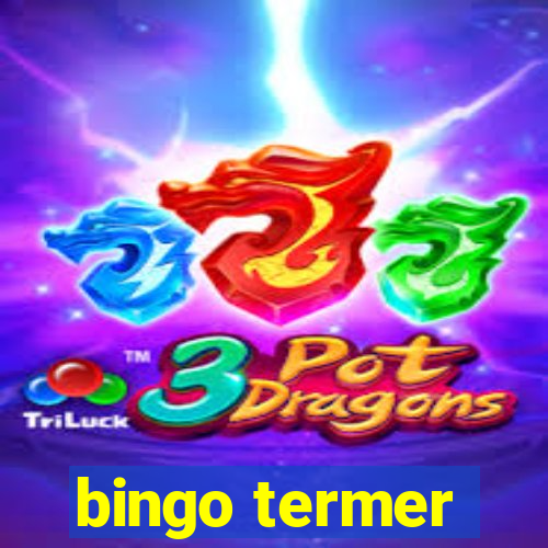 bingo termer