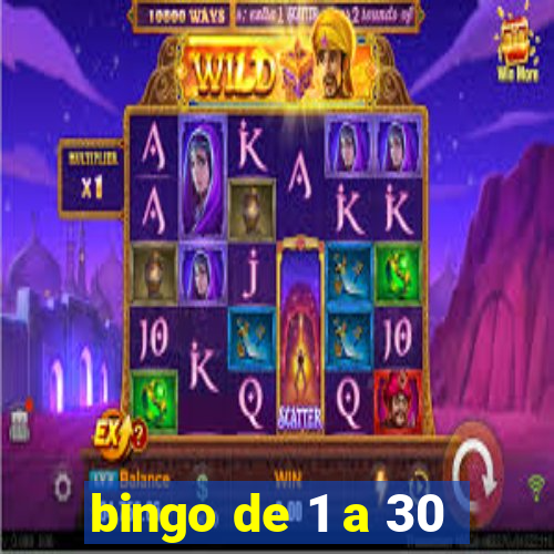 bingo de 1 a 30