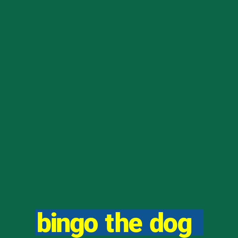 bingo the dog