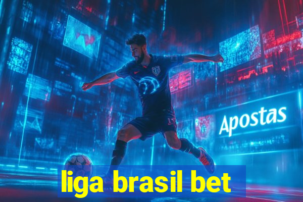 liga brasil bet