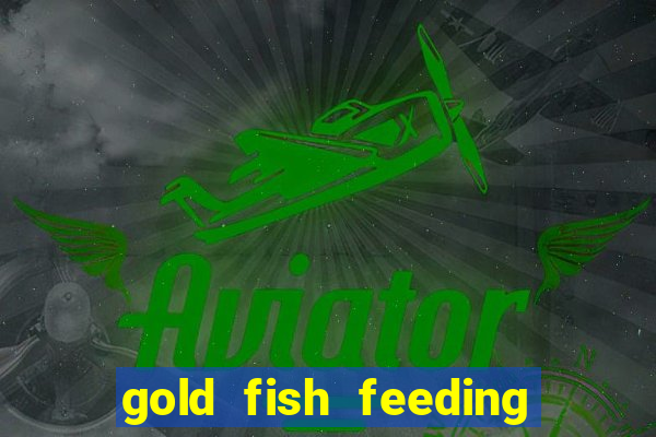 gold fish feeding time treasure slot online