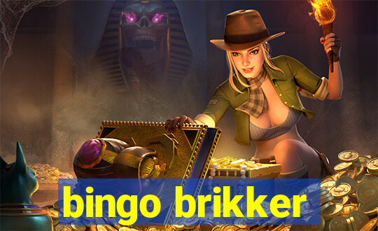 bingo brikker