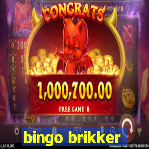 bingo brikker