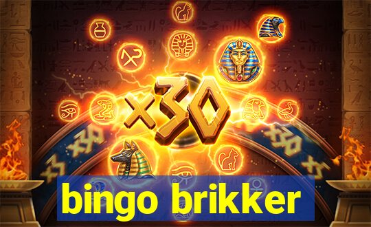 bingo brikker