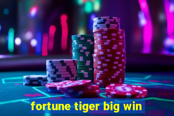 fortune tiger big win