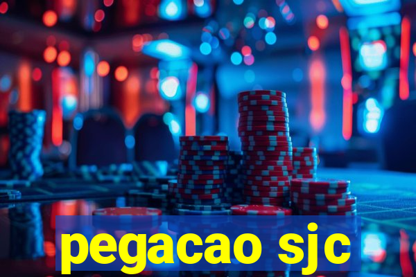 pegacao sjc