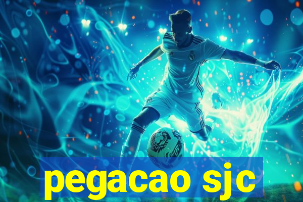 pegacao sjc