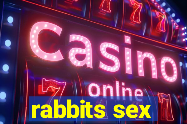 rabbits sex