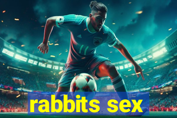 rabbits sex