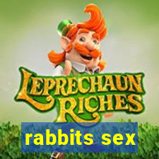 rabbits sex