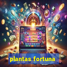 plantas fortuna