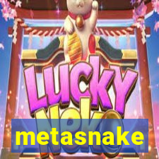 metasnake