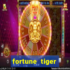 fortune tiger estrela bet