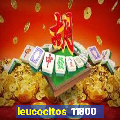 leucocitos 11800