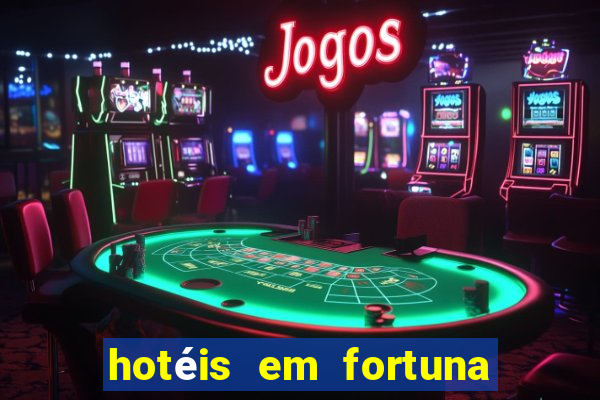 hotéis em fortuna de minas