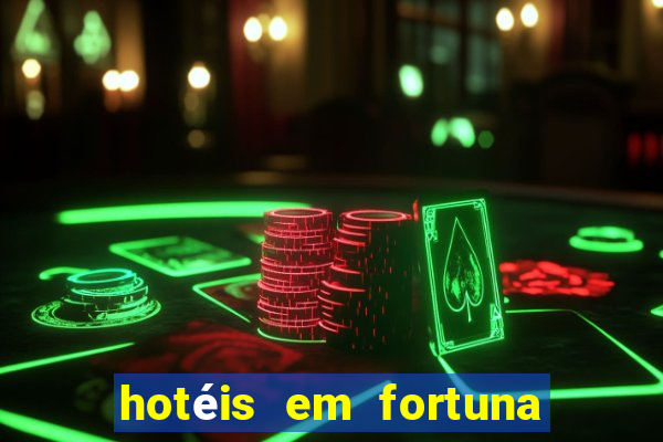 hotéis em fortuna de minas