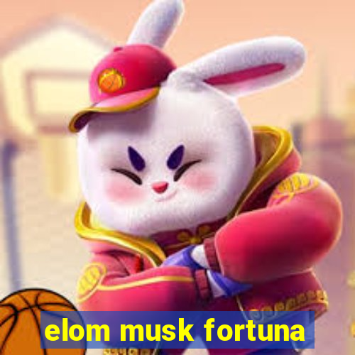 elom musk fortuna