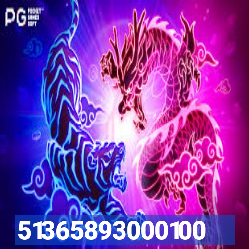 51365893000100