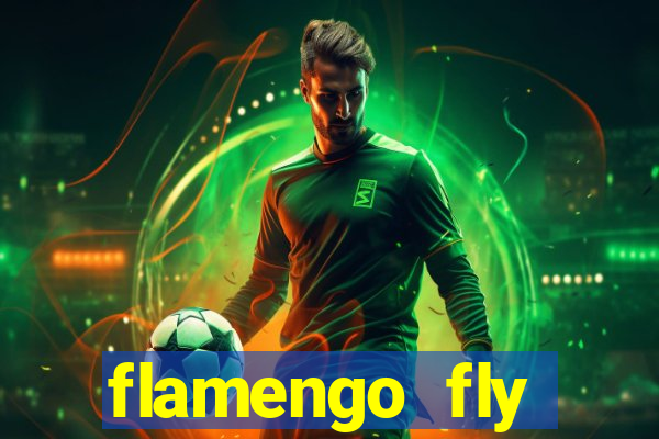 flamengo fly emirates ultimas noticias