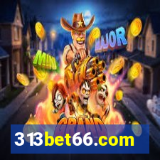 313bet66.com