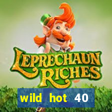 wild hot 40 christmas slot