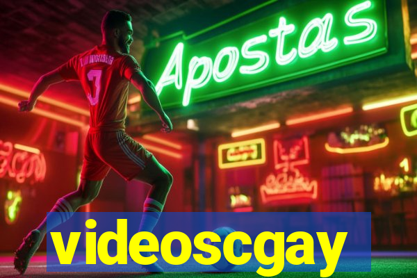 videoscgay