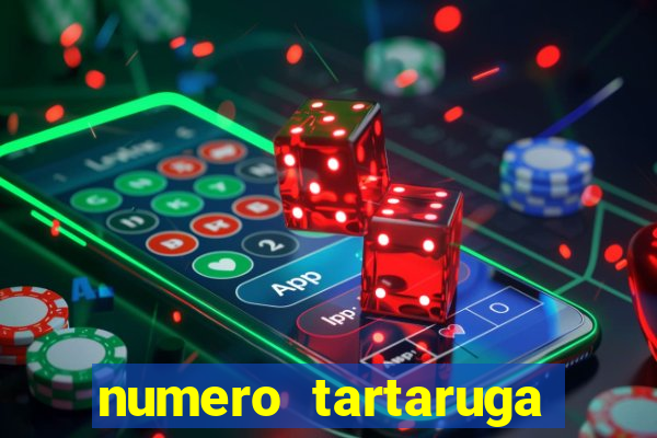 numero tartaruga jogo do bicho