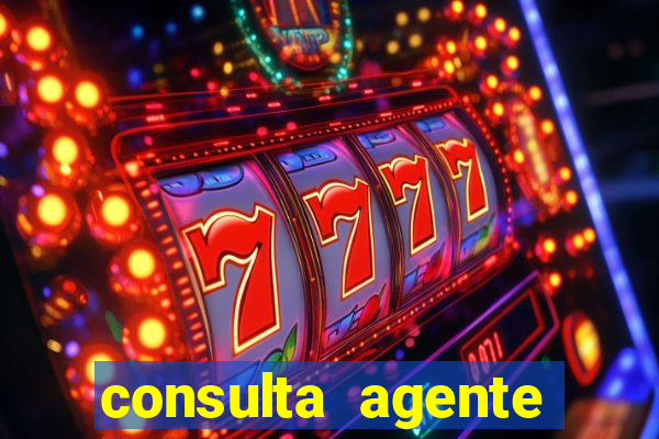 consulta agente autuador sp