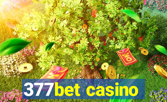 377bet casino