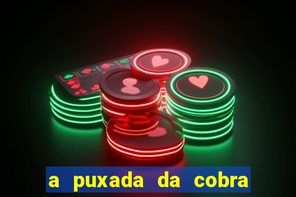 a puxada da cobra no jogo do bicho