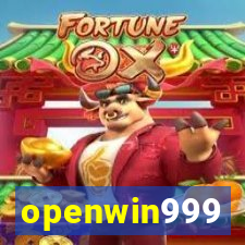 openwin999