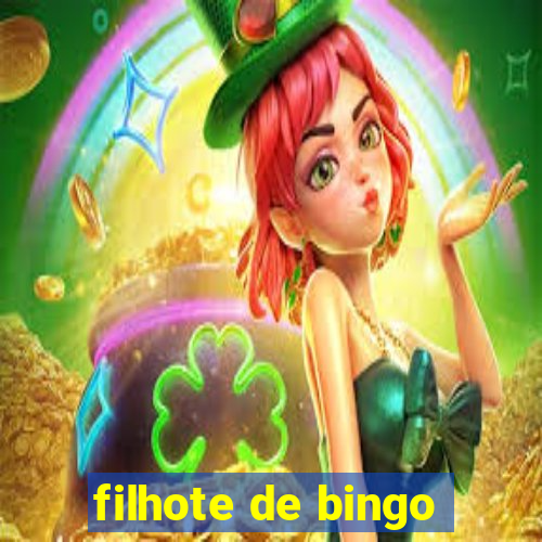 filhote de bingo