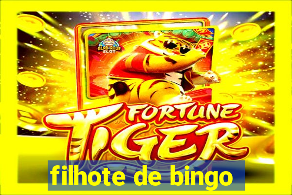 filhote de bingo