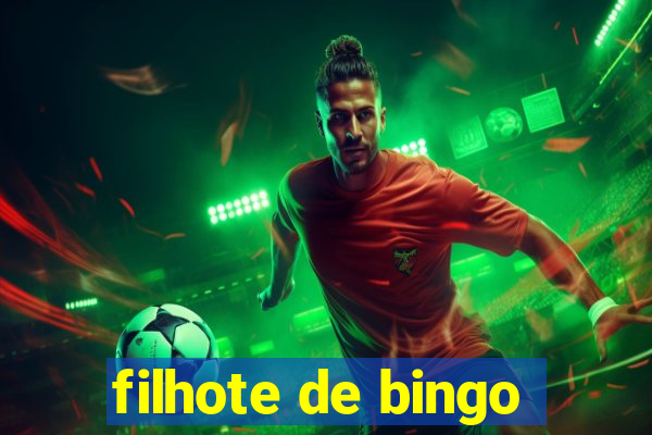 filhote de bingo