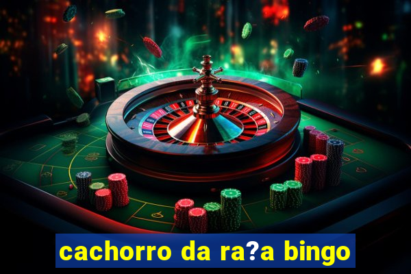 cachorro da ra?a bingo