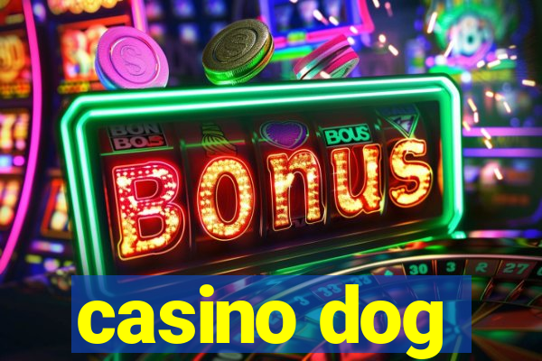 casino dog