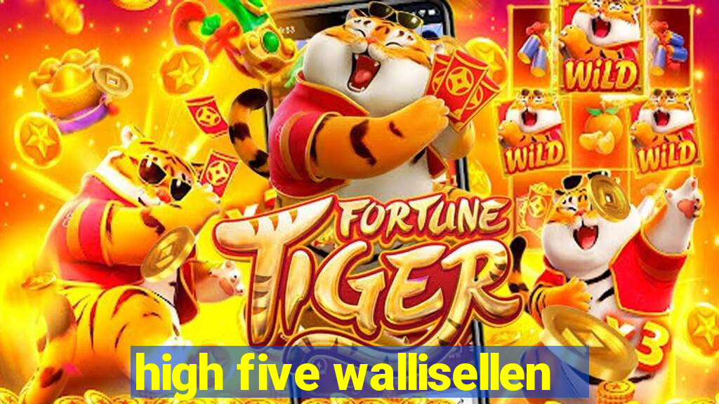 high five wallisellen