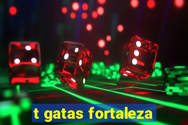 t gatas fortaleza