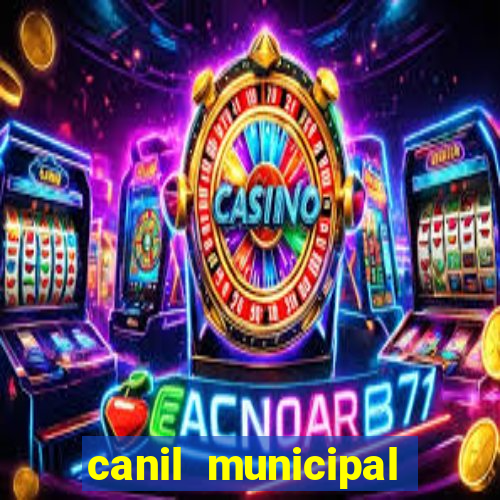 canil municipal porto alegre