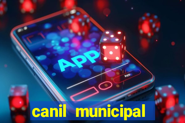 canil municipal porto alegre