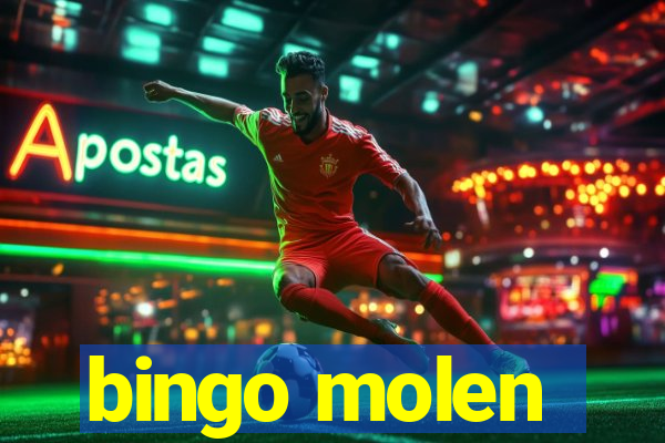 bingo molen