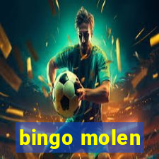 bingo molen