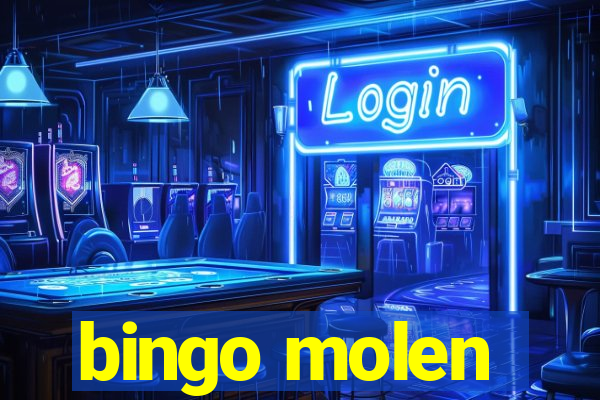 bingo molen