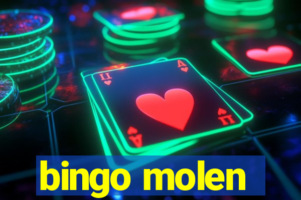 bingo molen