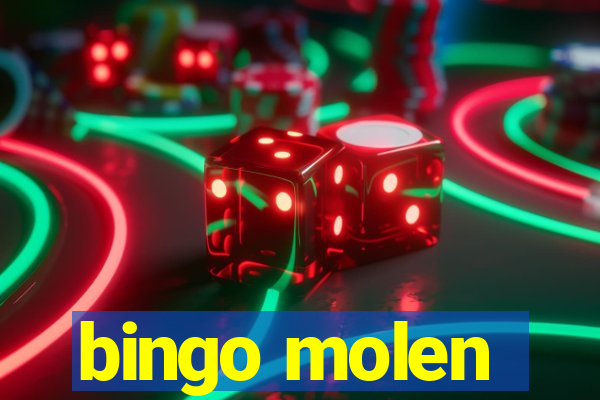 bingo molen