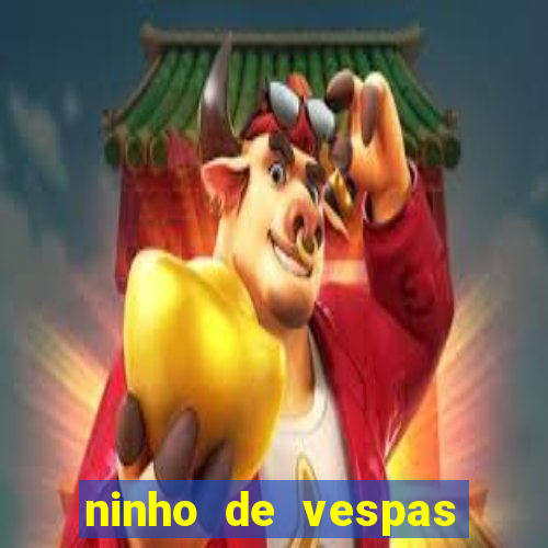 ninho de vespas significado espiritual