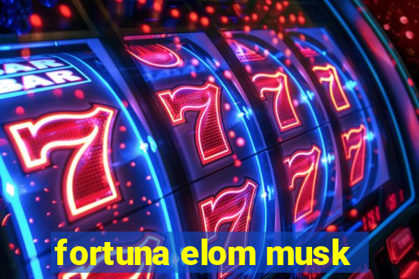 fortuna elom musk